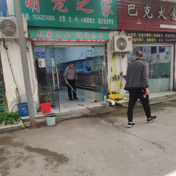 萌宠之家:武汉市江岸区新荣/堤角附近