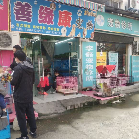 善缘康宠物:武汉市江岸区新荣/堤角附近