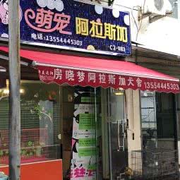 萌宠阿拉斯加:武汉市江岸区新荣/堤角附近