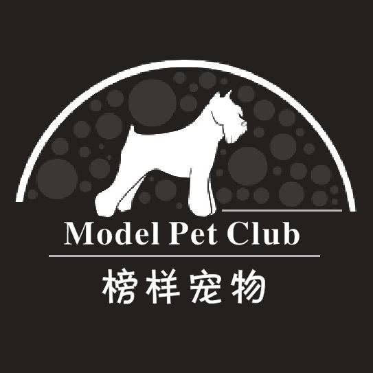 榜样宠物(季佳里新荣店):武汉市江岸区新荣/堤角附近