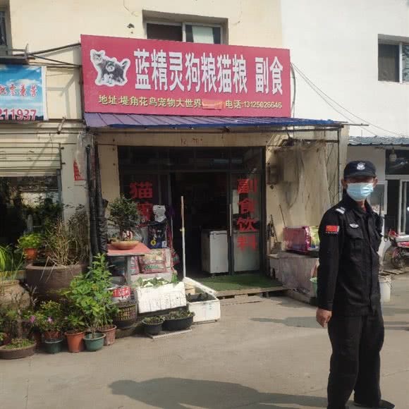 蓝精灵狗粮猫粮:武汉市江岸区新荣/堤角附近
