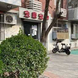 宠康宠物:天津城区红桥区本溪路/丁字沽附近