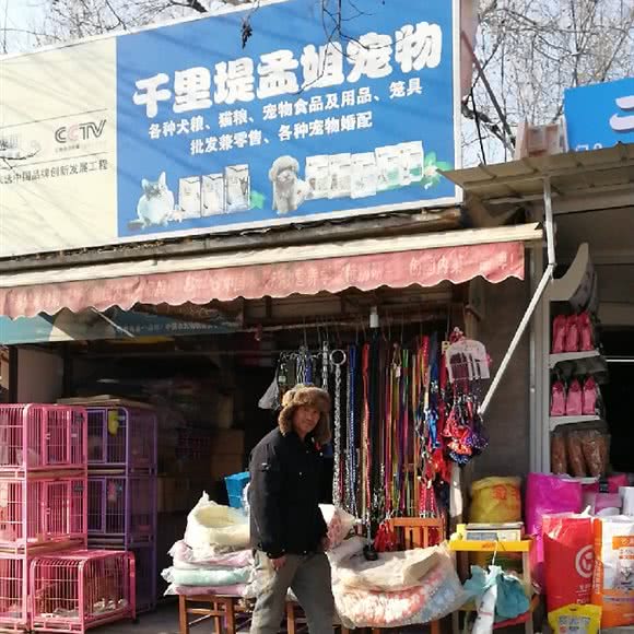 千里堤孟姐宠物:天津城区红桥区本溪路/丁字沽附近