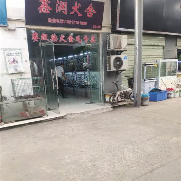 鑫润犬舍:武汉市江岸区新荣/堤角附近