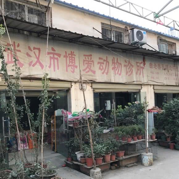 武汉市博爱动物诊所:武汉市江岸区新荣/堤角附近