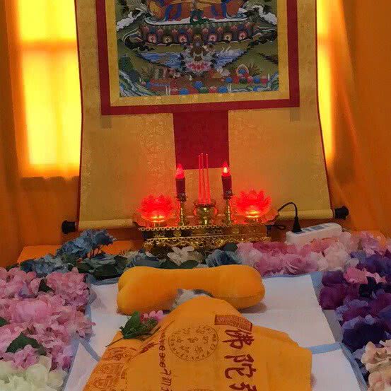 乐善宠物火化殡葬:武汉市江岸区吉庆街/大智路附近