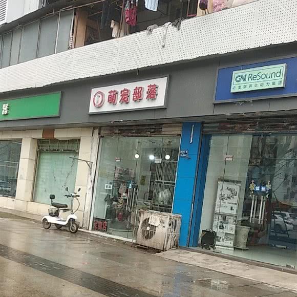 萌宠部落:武汉市江岸区吉庆街/大智路附近