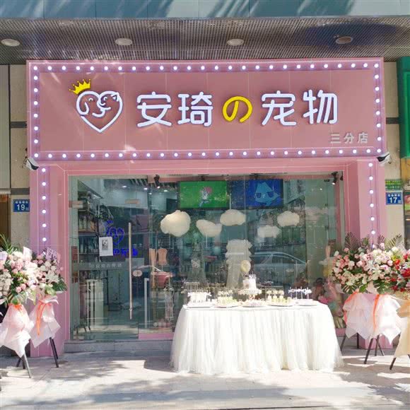 安琦宠物(融科天城店):武汉市江岸区吉庆街/大智路附近