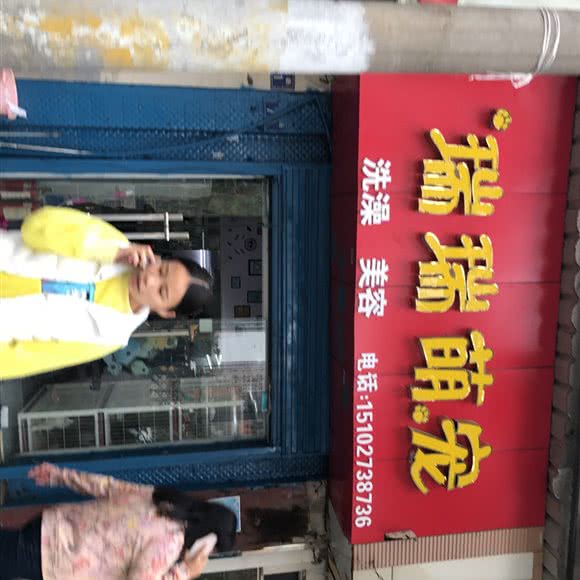 瑞瑞萌宠:武汉市江岸区江汉路/南京路附近