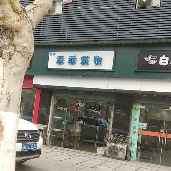 乖乖宠物:武汉市江岸区三阳路/山海关路附近