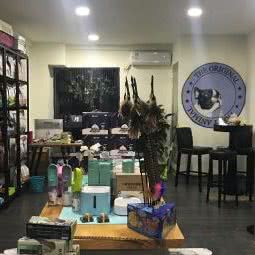 dream梦想宠物:武汉市江岸区三阳路/山海关路附近