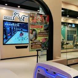 棒恰恰的的萌小宠:武汉市江汉区武汉广场附近