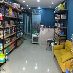 星宠联盟:武汉市江汉区武汉广场附近