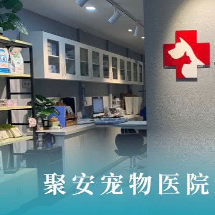 聚安宠物医院(新华路分院):武汉市江汉区武汉广场附近