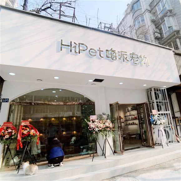 HiPet嗨派宠物:武汉市江汉区唐家墩/菱角湖附近
