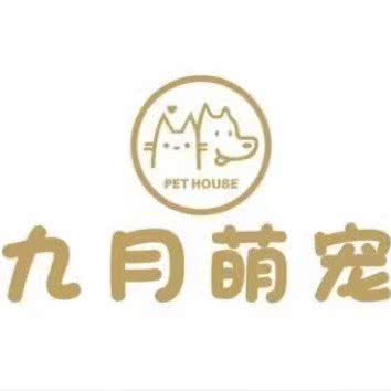 九月萌宠:武汉市江汉区唐家墩/菱角湖附近