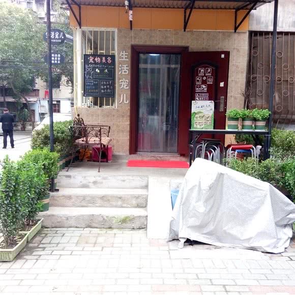 生活宠儿:武汉市江汉区汉口火车站附近