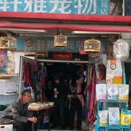 轩雅宠物用品店朗仕猫粮狗粮:天津城区红桥区本溪路/丁字沽附近