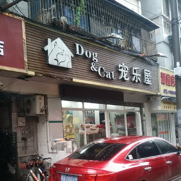 宠乐屋:武汉市硚口区宝丰附近