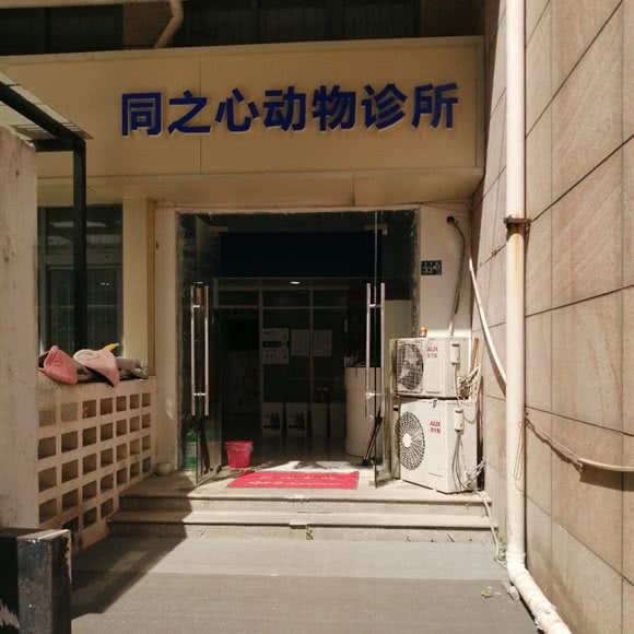 同之心动物诊所:武汉市硚口区宝丰附近