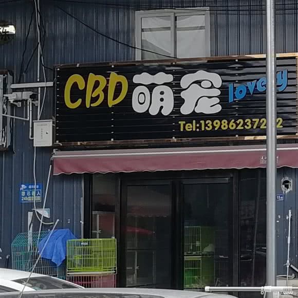 CBD萌宠:武汉市硚口区硚口路附近