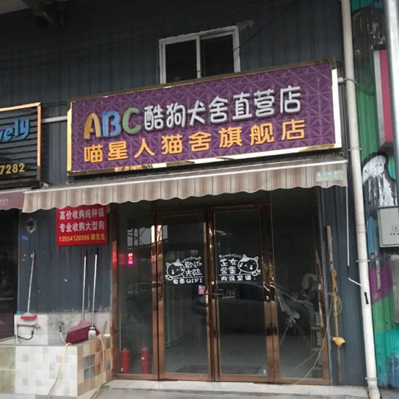 喵星人猫舍(旗舰店):武汉市硚口区硚口路附近