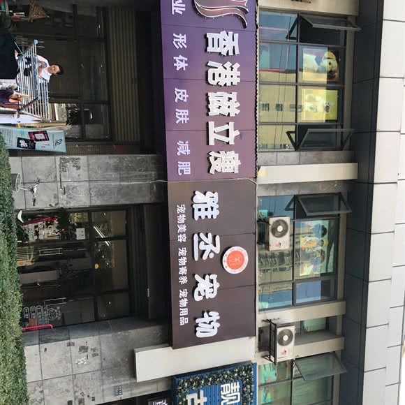 雅丞宠物:武汉市硚口区古田路附近