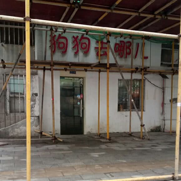 狗狗去哪:武汉市硚口区古田路附近