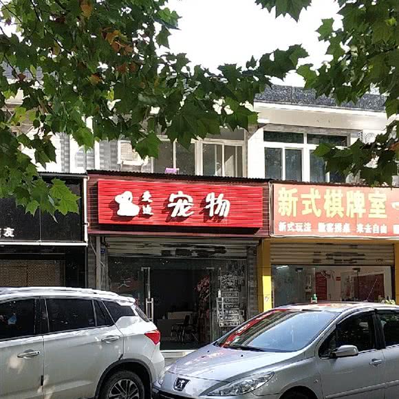 爱迪宠物:武汉市硚口区古田路附近