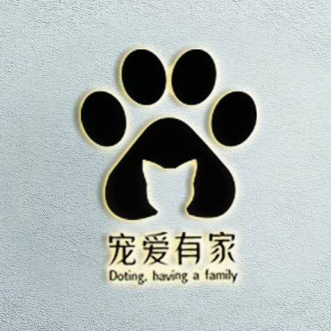 喵舍·宠爱有家·活体售卖:天津城区红桥区本溪路/丁字沽附近