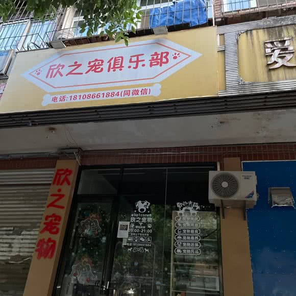 欣之宠俱乐部:武汉市汉阳区汉阳大道附近