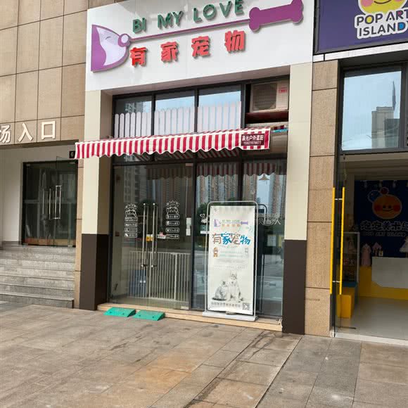 毛孩子有家宠物店:武汉市汉阳区汉阳大道附近