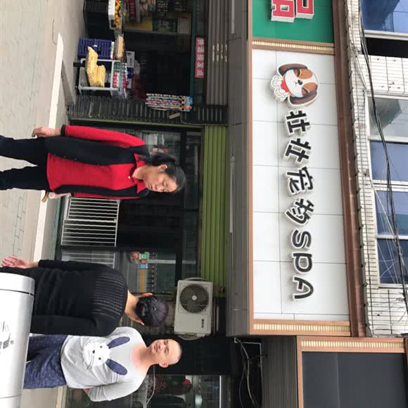 壮壮宠物(spa墨水湖店):武汉市汉阳区汉阳大道附近