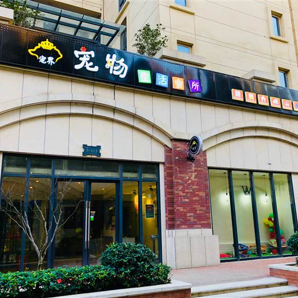 宠界宠物生活会所:武汉市汉阳区汉阳大道附近