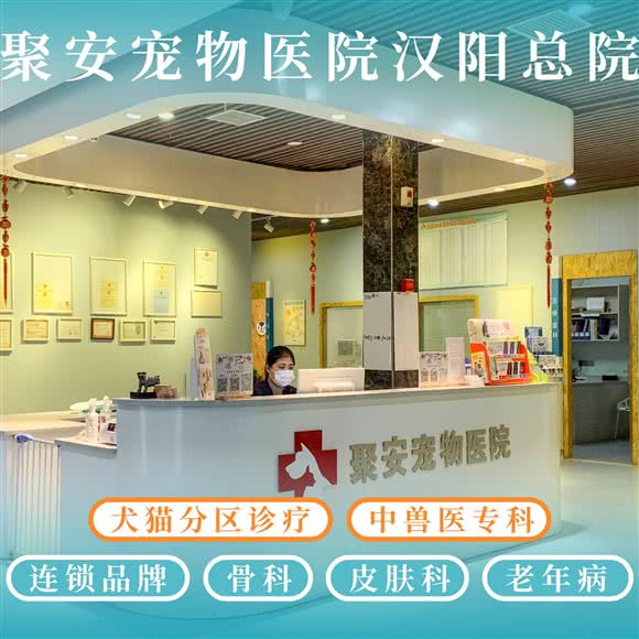 聚安宠物医院·中西兽医结合诊疗中心(汉阳总院):武汉市汉阳区汉阳大道附近