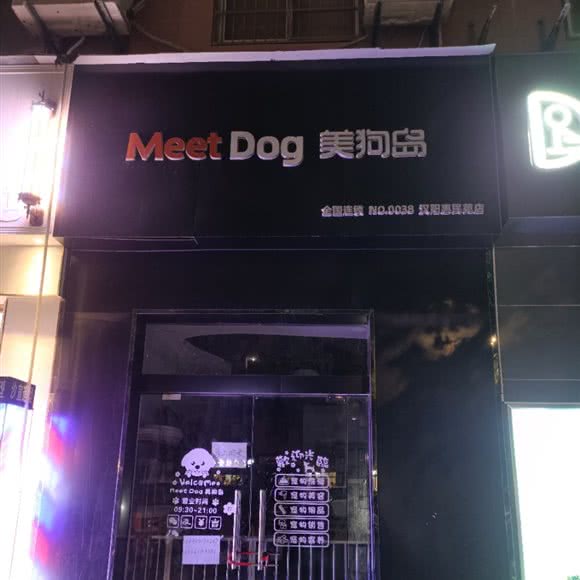 Meet Dog美狗岛:武汉市汉阳区王家湾附近