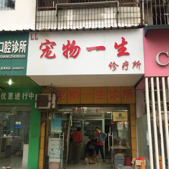 宠物一生医院:武汉市汉阳区钟家村附近