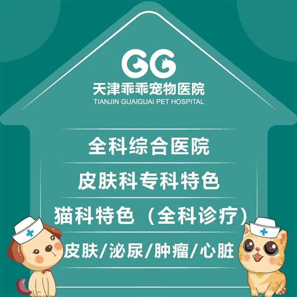 乖乖宠物医院·24星期·急重症转诊中心:天津城区红桥区芥园道/复兴路附近