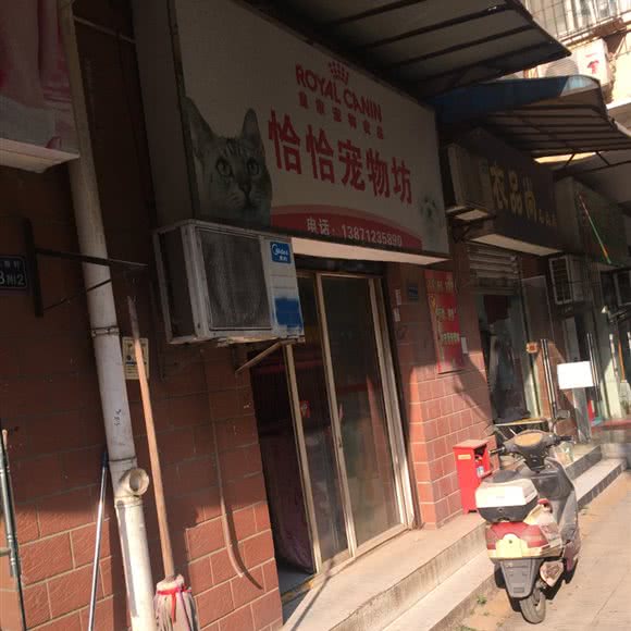 恰恰宠物坊(自力一街):武汉市汉阳区鹦鹉大道附近