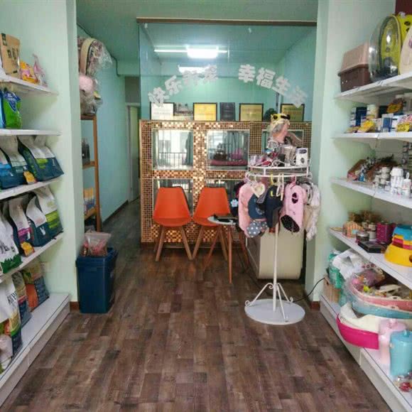 派多格宠物(芥园道店):天津城区红桥区芥园道/复兴路附近