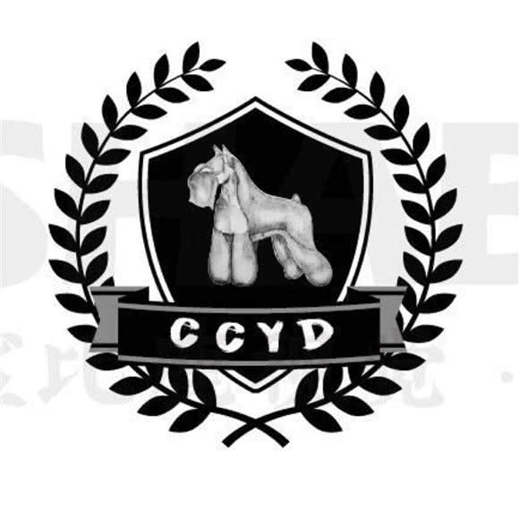 宠宠欲动:天津城区红桥区芥园道/复兴路附近