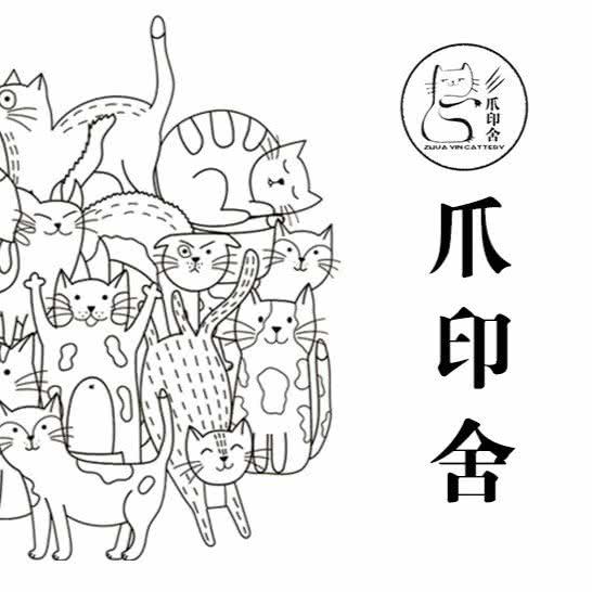 爪印舍猫咪生活馆(汉阳店):武汉市汉阳区四新附近