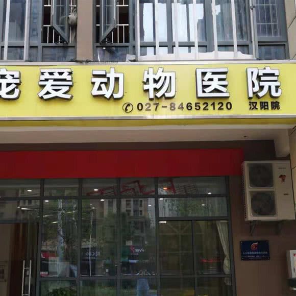 好宠爱动物医院:武汉市汉阳区四新附近