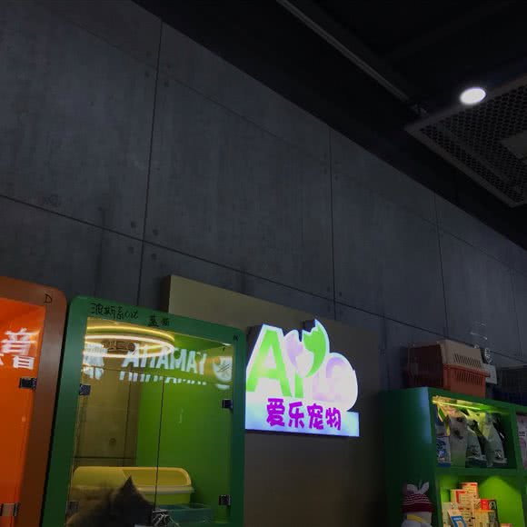 爱乐宠物(维佳体验城店):武汉市武昌区石牌岭/街道口附近