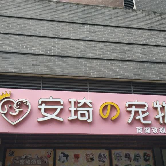安琦の宠物(南湖玫瑰湾店):武汉市武昌区石牌岭/街道口附近