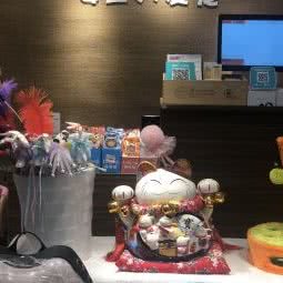 女王的爱宠宠物公馆:武汉市武昌区石牌岭/街道口附近