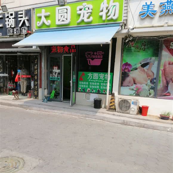 大圆狗狗:天津城区红桥区芥园道/复兴路附近