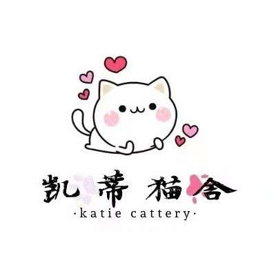 凯蒂猫舍:武汉市武昌区石牌岭/街道口附近