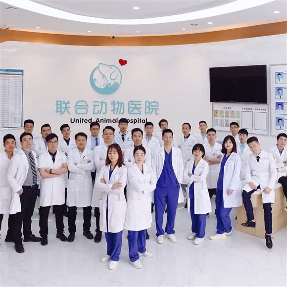 联合动物医院(南湖教学诊疗中心):武汉市武昌区石牌岭/街道口附近