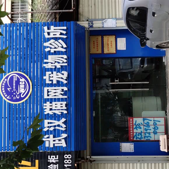 武汉猫网宠物诊所:武汉市武昌区石牌岭/街道口附近